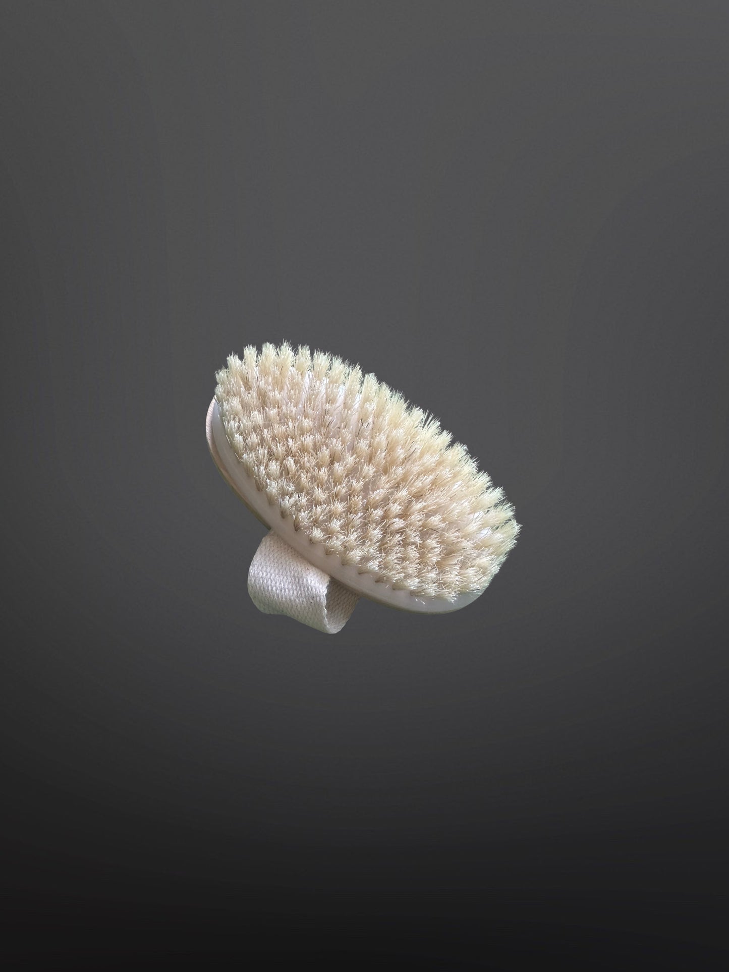 HOBBY HORSE BRUSH