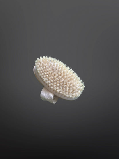 HOBBY HORSE BRUSH