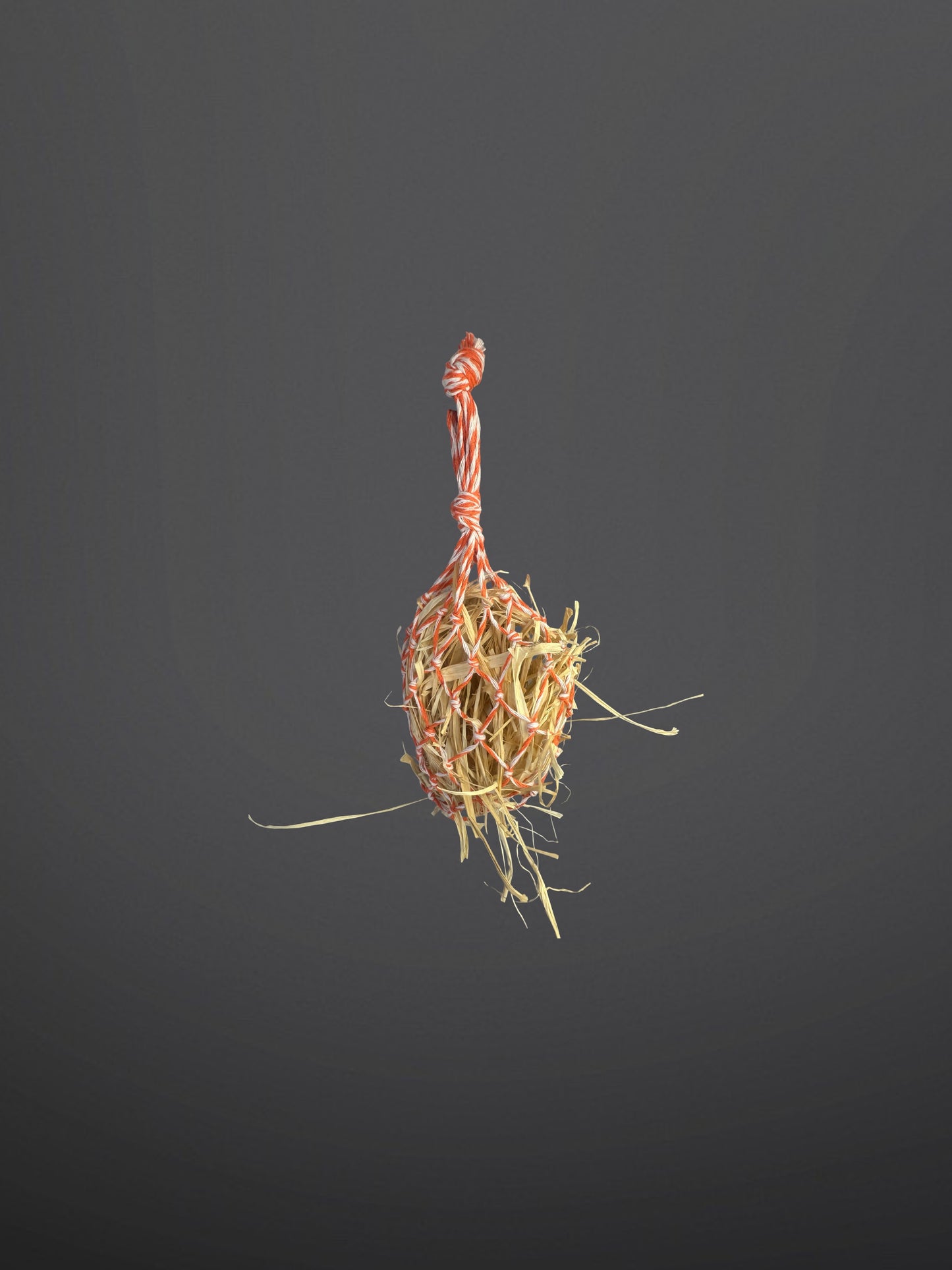 HOBBY HORSE HAY NET