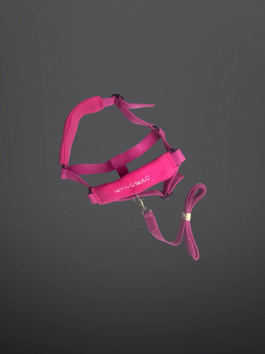 HOBBY HORSE HALTER